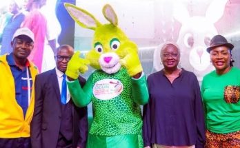 Ogun, and the economic values of National Sports Festival Ogun, and the economic values of National Sports Festival