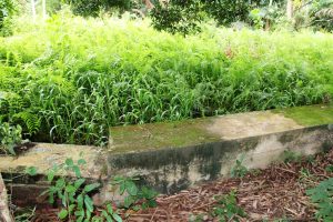 FPI Dam: A timely corridor to food security, social and environmental benefits – Rector Akinde